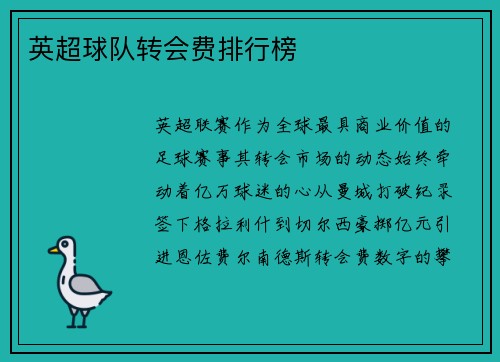 英超球队转会费排行榜