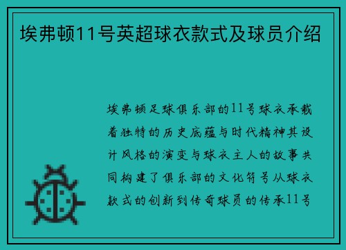 埃弗顿11号英超球衣款式及球员介绍