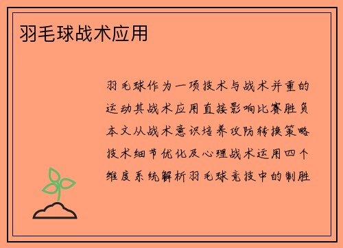 羽毛球战术应用