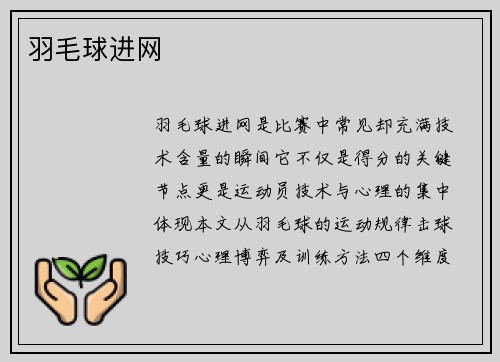 羽毛球进网
