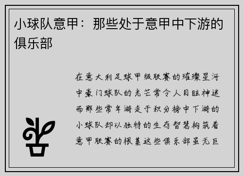 小球队意甲：那些处于意甲中下游的俱乐部
